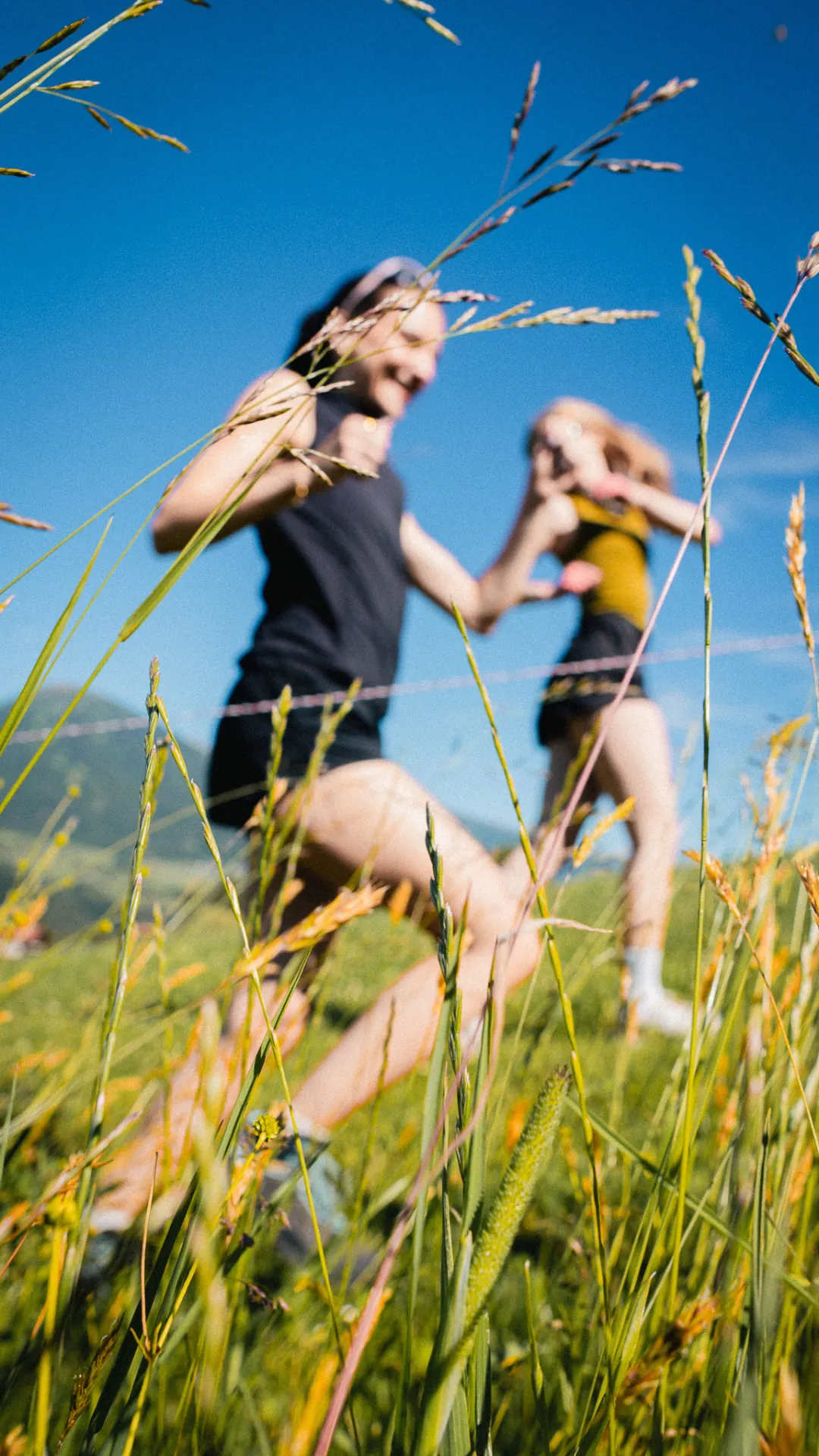 Through the grass, Brands photography